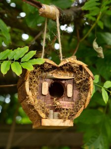 Songbird 10017218 Heart-shaped Love Shack Mini Bird House