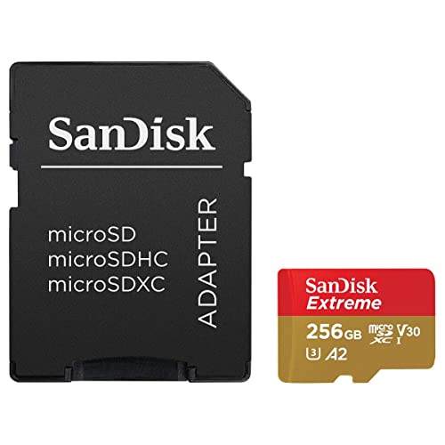 SanDisk-SDSQXAV256GAN6MA
