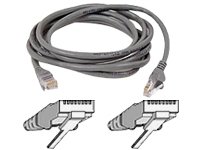 Belkin A3L791-100-S Patch Cable - Rj-45 (m) - Rj-45 (m) - 100 Ft - ( C