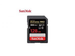 Sandisk SDSDXDK-128G-GN4IN Flash 128g|sd Sdsdxdk-128g-gn4in R