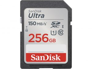 Sandisk SDSDUNC-256G-GN6IN Flash 256g|sd Sdsdunc-256g-gn6in R