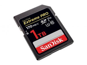 Sandisk SDSDXXY-1T00-GN4IN Flash 1t|sd Sdsdxxy-1t00-gn4in R