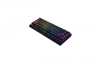 Razer RZ03-03891500-R3U1 Gkb Rzr | Bw V3 Mini|rz03-03891500-r3u1|b