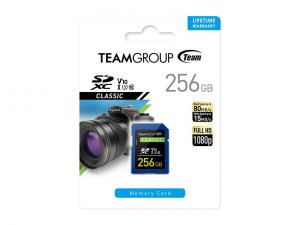 Team TSDXC256GIV1001 Flash 256g|team  R