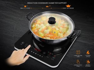 Rosewill RHAI-21001 Induct Cooker  Rhai-21001 R