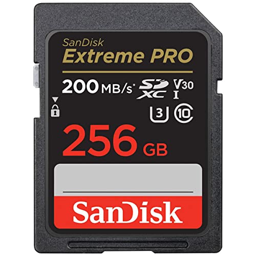 SanDisk-SDSDXXD-256G-ANCIN