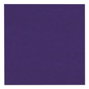 Pacon CRA 103019 Tru-ray Construction Paper - 12width X 9length - 50  