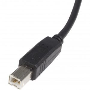 Startech '321249 High Speed Certified Usb 2.0 - Usb Cable - 4 Pin Usb 