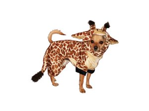 Bulk VR051 Giraffe Pet Costume