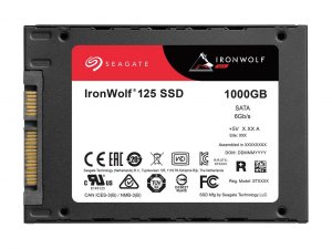 Seagate ZA1000NM1A002-10PK Ironwolf 125 Za1000nm1a002 - Ssd - 1 Tb - S