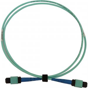 Tripp N846B-01M-24-P Cables And Connecti