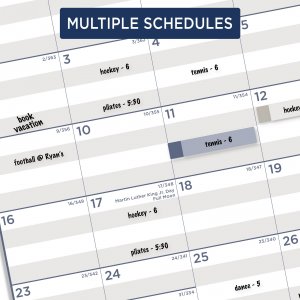 At-a-glance PM22MS28 Calendar,multi Schedul,wh