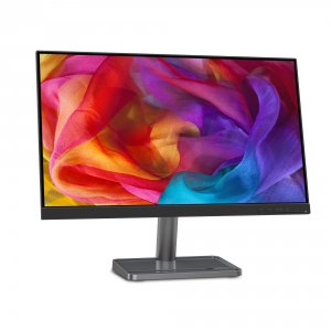 Lenovo 66BDKCC2US L24i-30 Ips Fhd Monitor