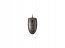 V7 QR9313 Full Size Usb Optical Mouse - Optical - Cable - Black, Silve