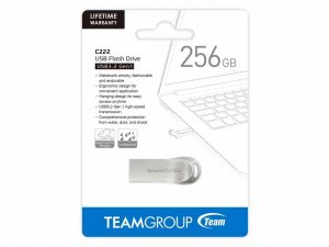 Team TC2223256GS01 Usb 256g|team  R