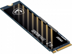 Msi SPATIUM M450 PCIe 4.0 NVMe M.2 2TB Spatium M450 Pcie 4.0 Nvme M.2 