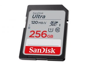 Sandisk SDSDUN4-256G-GN6IN Flash 256g|sd Sdsdun4-256g-gn6in R