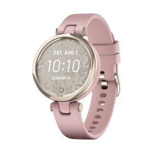 Garmin 010-02384-03 Lily Spt Swch Crm Glddrs