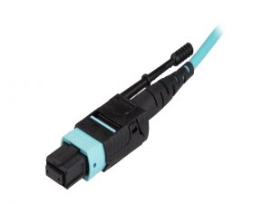 Startech MPO12PL2M Cable   R