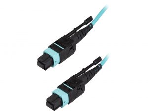 Startech MPO12PL2M Cable   R