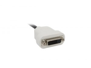 Startech DP2DVI Converter   Rtl