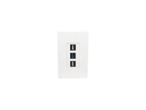 Tripp  Single-gang 3-port Wall Plate Keystone Cat5-6 Usb Hdmi Dport Rc