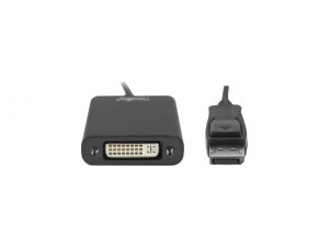 Rocstor Y00DVI-BK Displayport To Dvi Adapter-1x