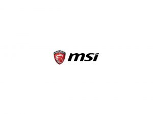 Msi PDP18013NUC224 Deskt |pro Dp180 13nuc-224us R