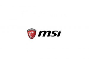 Msi PDP18013NUC223 Deskt |pro Dp180 13nuc-223us R