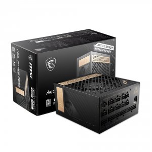 Msi MEGAi1000PPCIE5 1000 W Power Supply