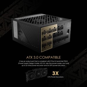 Msi MEGAi1000PPCIE5 1000 W Power Supply