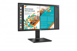 Lg 24BP55Q-B 24in Lcd 2560x1440 Mntr