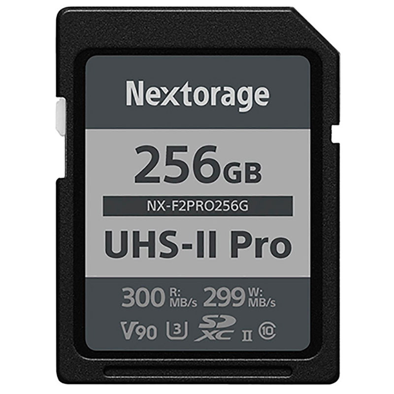 NEXTORAGE-NX-F2PRO256G
