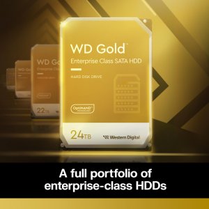 Western WD241KRYZ 24tb Wd Gold 22tb Wd Gold