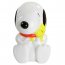 Gibson 80626.01RR Peanuts Classic Snoopy Cookie Jar In White