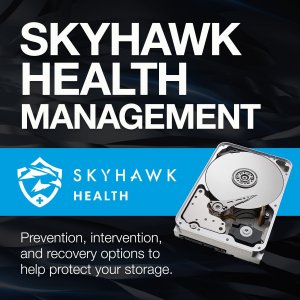 Seagate ST20000VE003 Hd  20tb Sata 3.5 Skyhawk Ai Bare