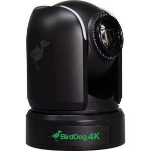 Birddog BDP4K P4k Black. 4k 10-bit F