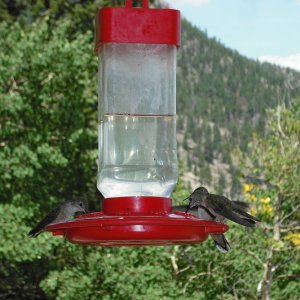 Firstnature 993055446 First Nature 32oz. Hummingbird Feeder With Necta