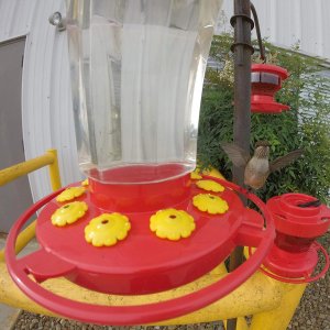 Firstnature 993090546 First Nature 32oz Hummingbird Feeder With Fluted