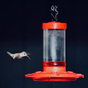 Firstnature 993051546 First Nature 16oz Hummingbird Feeder With Enhanc