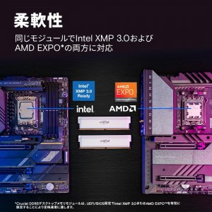 Crucial CP16G60C36U5W Overclocking 16gb Ddr