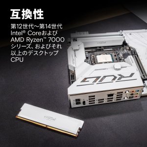 Crucial CP16G60C36U5W Overclocking 16gb Ddr