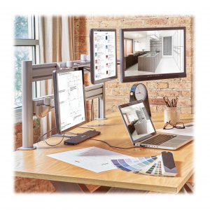 Tripp DMSW1332LTAA Dual-extension Monitor