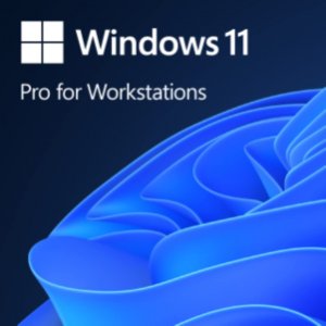 Microsoft HZV-00102 Windows 11 Pro For Workstation