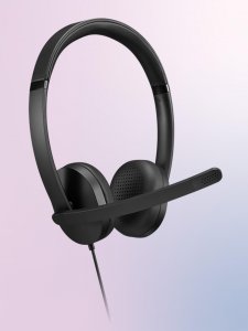 Lenovo 4XD1P83425 Audio_bo Wired On-ear Gen 2