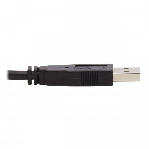 Interex P783-006-DP Dual Displayport Kvm Cable Kit