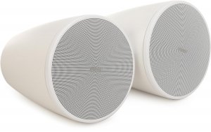 Bose 841166-0210 Designmax Dm5p White